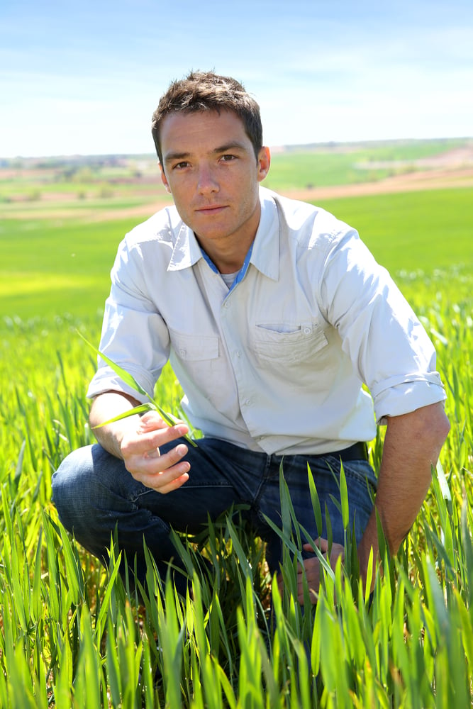 Farmer kneeling in wheat field