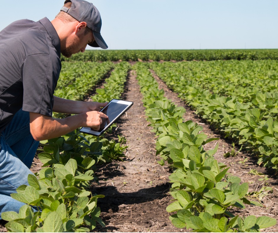 Facebook agronomist-using-a-tablet-in-an-agricultural-field-picture-id614304234 (1)