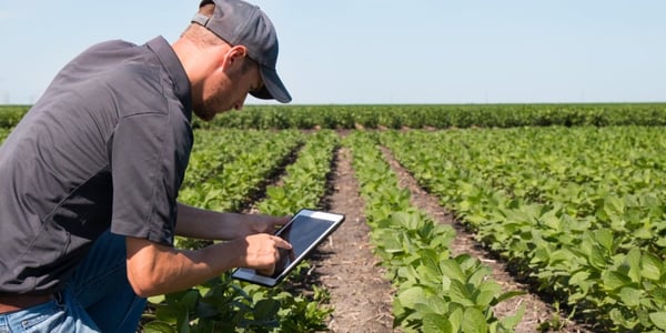 Produisez vos rapports CanadaGAP en 60% moins de temps